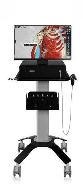 ENF Studio HD